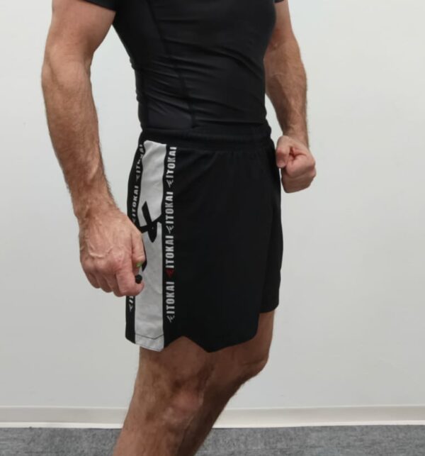 Fight Shorts